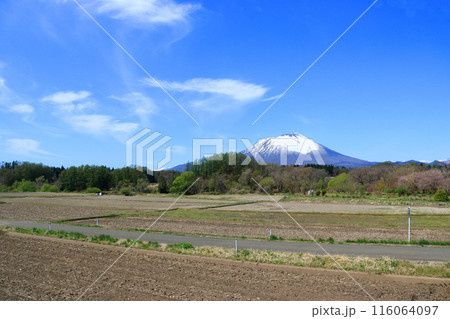 渋民公園から望む岩手山 116064097