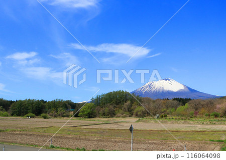 渋民公園から望む岩手山 渋民公園から望む岩手山 116064098