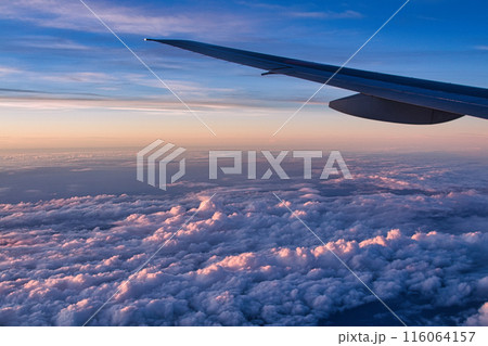 飛行機から見た夕方の雲海 116064157