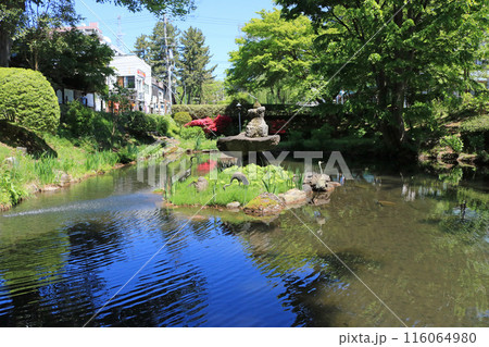 盛岡城跡公園、鶴ヶ池の噴水 盛岡城跡公園、鶴ヶ池の噴水 116064980