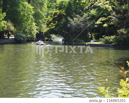 石神井公園 石神井公園 116065201