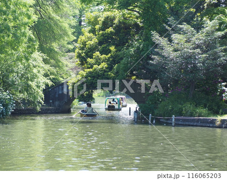 石神井公園 石神井公園 116065203