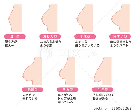 乳房の形　種類 116065262
