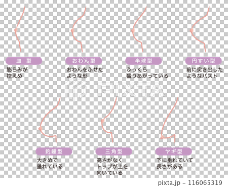 胸型類型 116065319