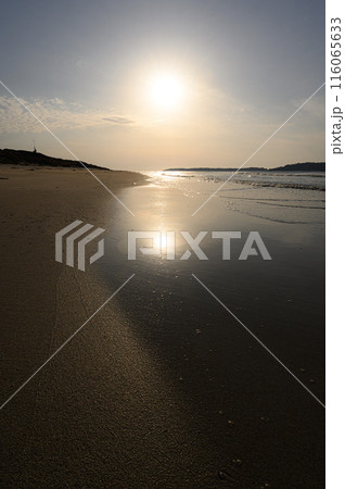 砂浜から見る夕日 116065633