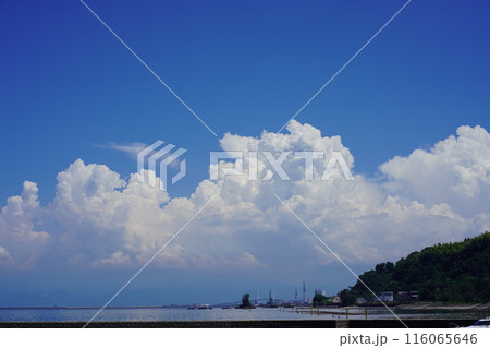 夏の海と夏雲と新湊大橋1 夏の海と夏雲と新湊大橋1 116065646