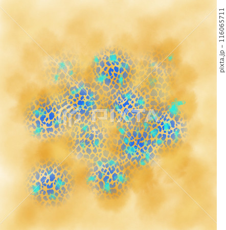 あじさい 116065711