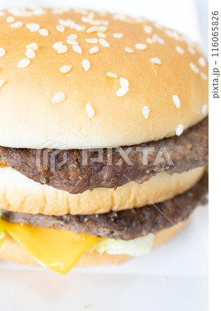 おいしいハンバーガー おいしいハンバーガー 116065826
