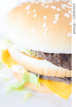 おいしいハンバーガー おいしいハンバーガー 116065828