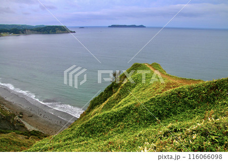 愛冠岬・あいかっぷ(北海道・厚岸郡厚岸町) 愛冠岬・あいかっぷ(北海道・厚岸郡厚岸町) 116066098