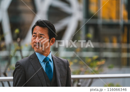 50s 50s 116066346