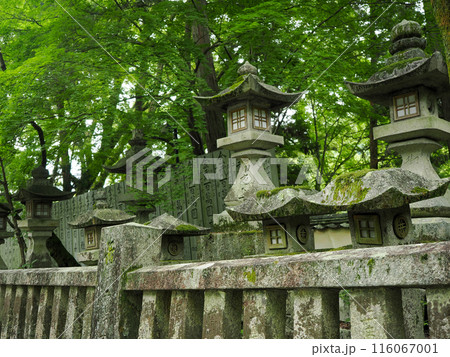 石灯籠のある風景 116067001