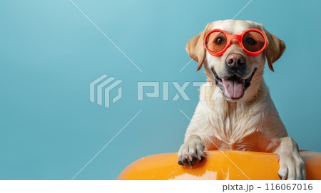 A dog wearing sunglasses and sitting on a red inflatable pool 116067016
