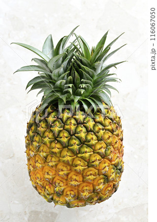 完熟パイナップル 116067050