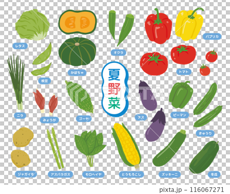 シンプルな野菜のイラストセット 116067271