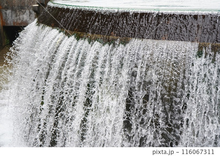 緑に包まれた初夏の分水円2 116067311