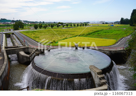 魚津市の田んぼと分水円6 魚津市の田んぼと分水円6 116067313