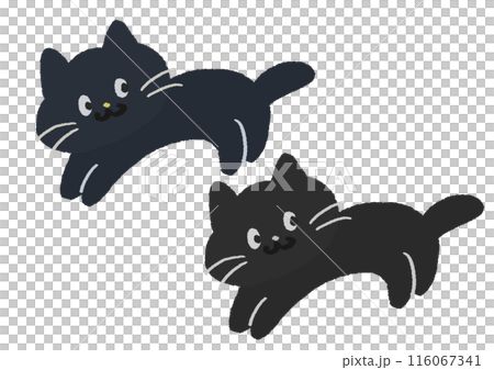 手描きのゆるいかわいい黒い猫のイラスト 116067341