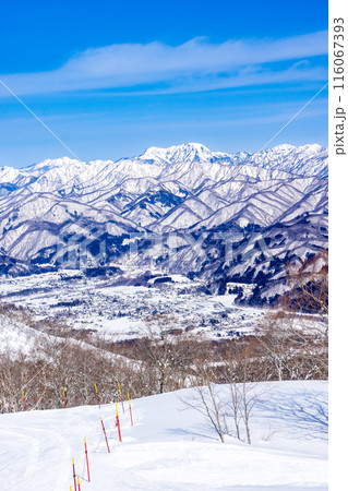 長野県北安曇郡白馬村 白馬五竜スキー場から見る高妻山(戸隠富士) 長野県北安曇郡白馬村 白馬五竜スキー場から見る高妻山(戸隠富士) 116067393