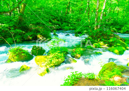 初夏の奥入瀬渓流 116067404