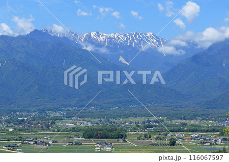 初夏の安曇野　田園と北アルプス 116067597