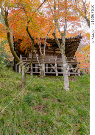 京都市右京区嵯峨の愛宕念仏寺(千二百羅漢の寺) 地蔵堂と紅葉 京都市右京区嵯峨の愛宕念仏寺(千二百羅漢の寺) 地蔵堂と紅葉 116067610