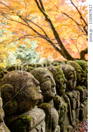 京都市右京区嵯峨の愛宕念仏寺（千二百羅漢の寺）　羅漢像と紅葉 116067617