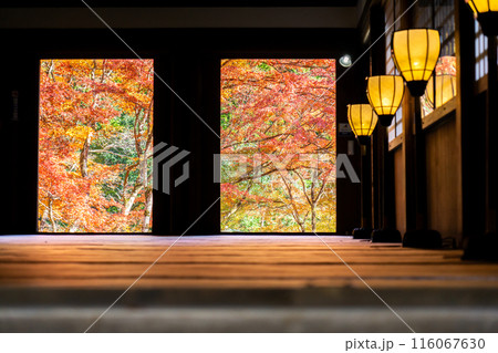 京都市右京区嵯峨の愛宕念仏寺(千二百羅漢の寺) 本堂から紅葉を眺める 京都市右京区嵯峨の愛宕念仏寺(千二百羅漢の寺) 本堂から紅葉を眺める 116067630