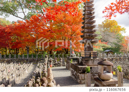 京都市左京区嵯峨の化野念仏寺（あだし野念仏寺）　西院の河原と紅葉 116067656