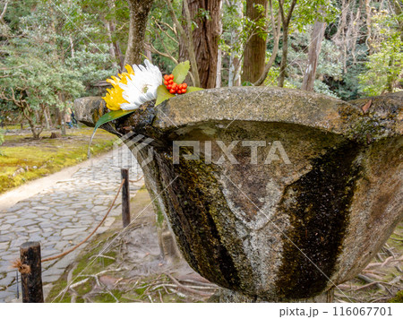 京都市左京区　東山　法然院　境内の花手水 116067701
