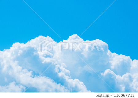 夏の青空 116067713
