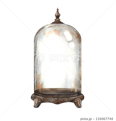 The vintage glass dome is a Flolarium, decorated with an expensive pattern. The watercolor illustration in the Gothic style is suitable for decoration and design on Halloween and vintage projects The vintage glass dome is a Flolarium, decorated with an expensive pattern. The watercolor illustration in the Gothic style is suitable for decoration and design on Halloween and vintage projects 116067748