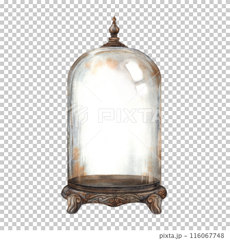 The vintage glass dome is a Flolarium, decorated with an expensive pattern. The watercolor illustration in the Gothic style is suitable for decoration and design on Halloween and vintage projects The vintage glass dome is a Flolarium, decorated with an expensive pattern. The watercolor illustration in the Gothic style is suitable for decoration and design on Halloween and vintage projects 116067748