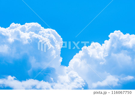 夏の青空 夏の青空 116067750