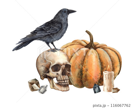 Pumpkin in shades of orange, realistic human skull, black raven, wax candle and crystals. Watercolor illustration in gothic style. Suitable for Halloween and autumn theme designs, cards, posters 116067762
