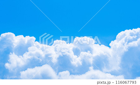 夏の青空 116067793