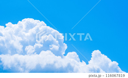 夏の青空 夏の青空 116067819