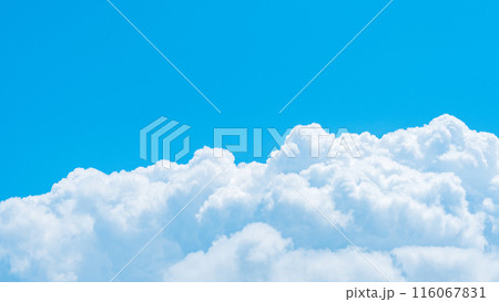 夏の青空 116067831