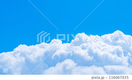 夏の青空 夏の青空 116067835
