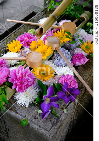 東福寺塔頭勝林寺の花手水 116068188