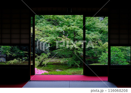 雲龍院の庭園 116068208