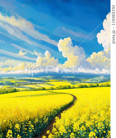 なだらかな大地の菜の花畑のイラスト なだらかな大地の菜の花畑のイラスト 116068392