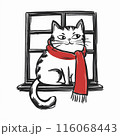 赤いマフラーねこ 116068443