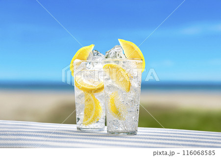 ビーチで飲むレモンサワー 116068585