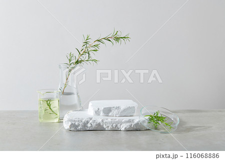 An empty podium of two plaster pedestals placed on each other in the center, on both sides decorated by a few laboratory glassware contain tea tree plants in. Space for product displaying, front view 116068886