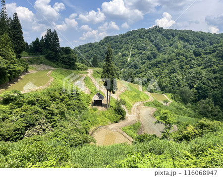 山古志棚田 山古志棚田 116068947