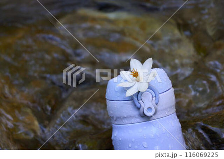 【新城】渓流の流れで冷やす花水筒のクローズアップ 116069225