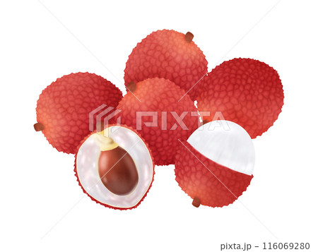 ライチ(レイシ) ライチ(レイシ) 116069280