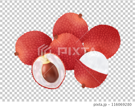 ライチ(レイシ) ライチ(レイシ) 116069280