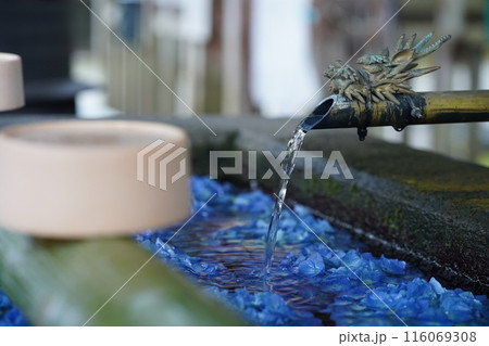 手水舎の柄杓で水を洗う1 116069308